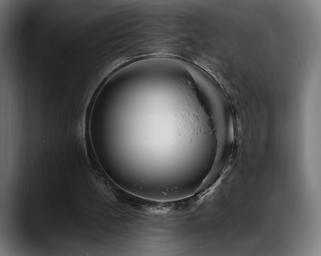 X0000088660148200705251529