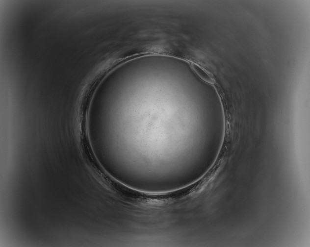 X0000088660149200705251529