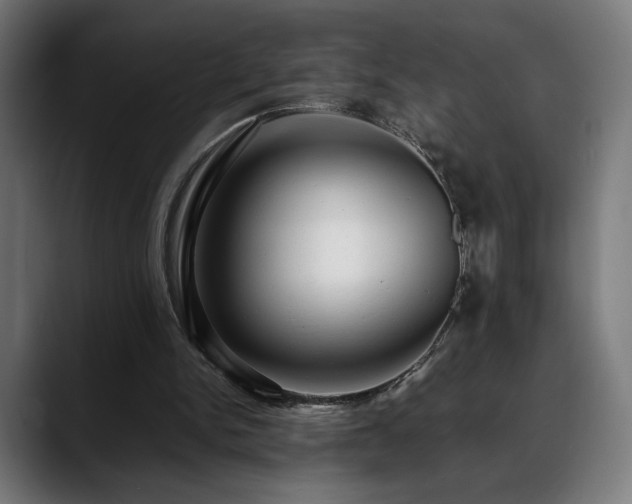 X0000088660150200705251529