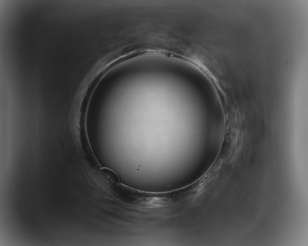 X0000088660151200705251529