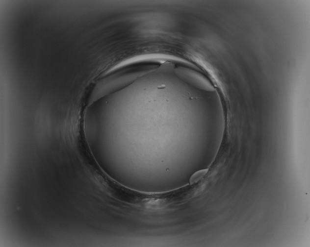 X0000088660153200705251529