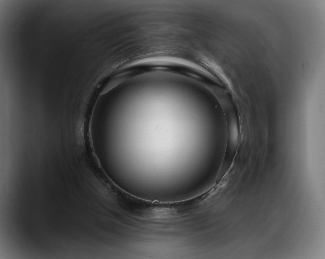 X0000088660154200705251529