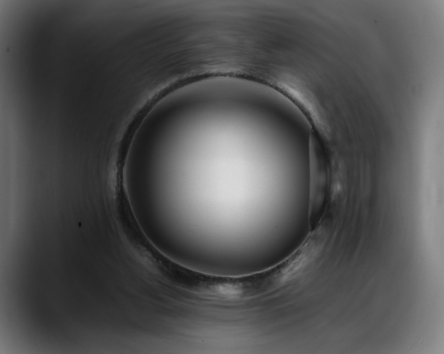 X0000088660156200705251529