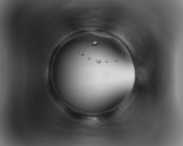 X0000088660159200705251529