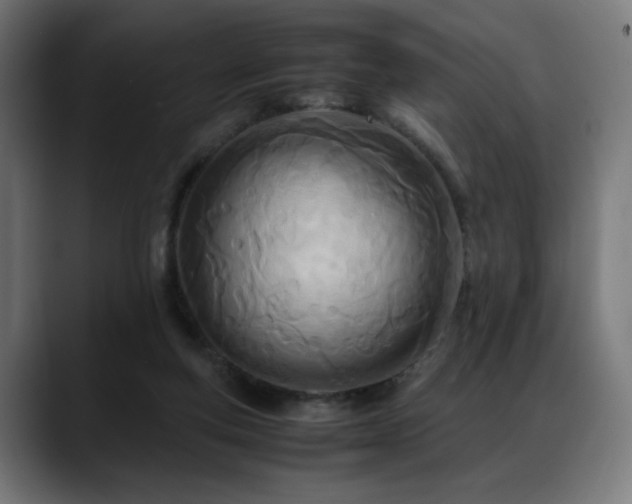 X0000088660163200705251529