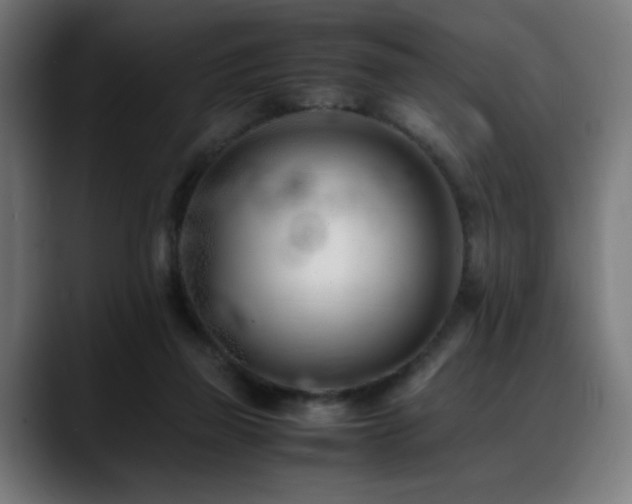 X0000088660165200705251529