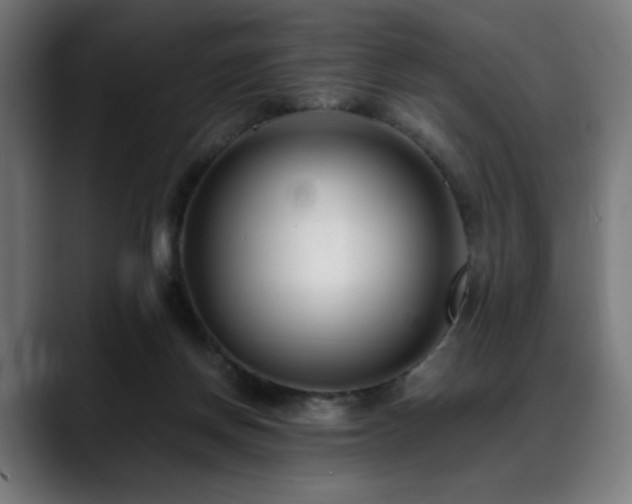 X0000088660166200705251529