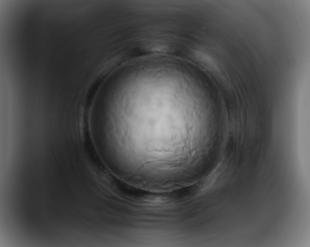 X0000088660167200705251529