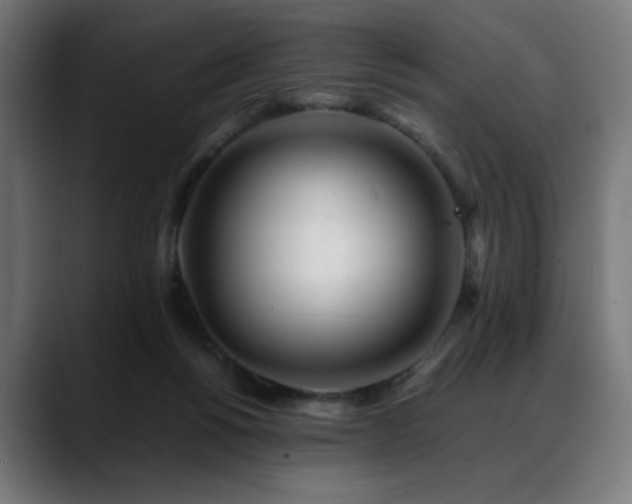 X0000088660168200705251529