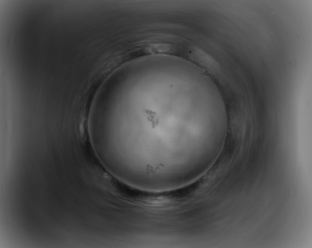 X0000088660169200705251529