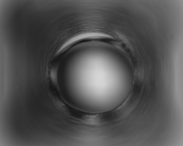 X0000088660170200705251529