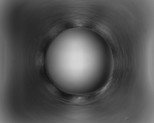 X0000088660174200705251529