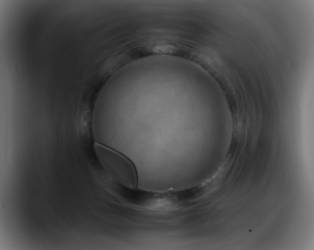 X0000088660175200705251529