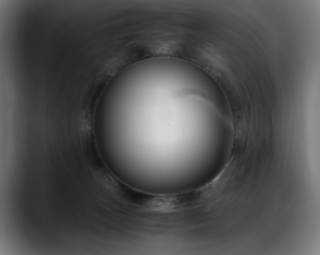 X0000088660179200705251529