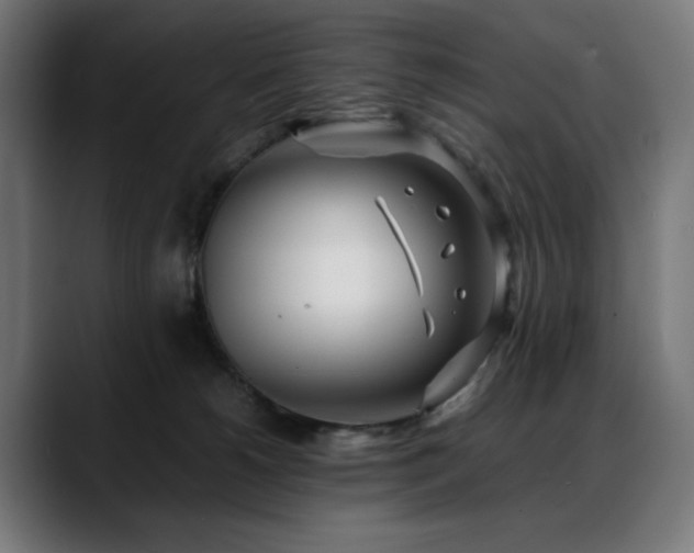 X0000088660180200705251529