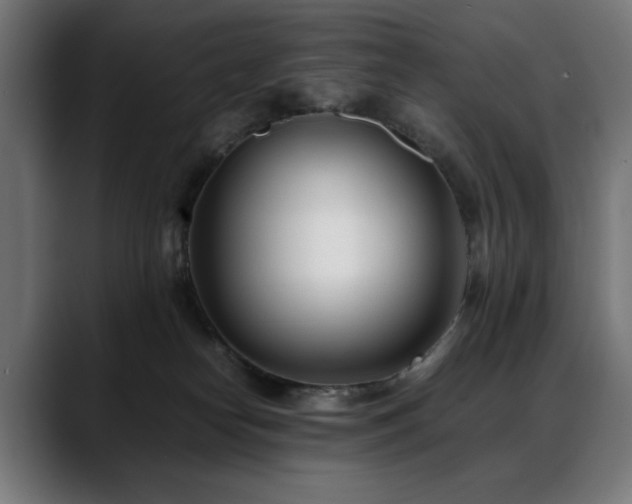 X0000088660182200705251530