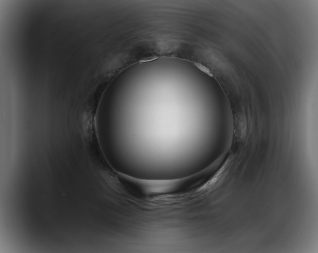 X0000088660184200705251530