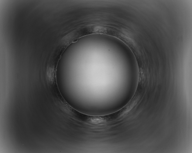 X0000088660189200705251530