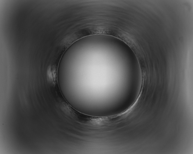 X0000088660190200705251530