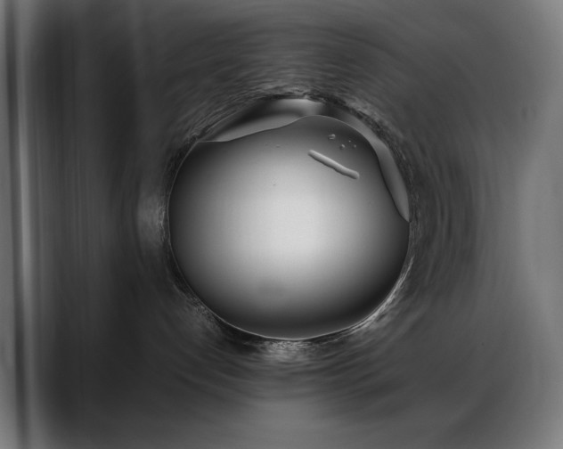 X0000088660192200705251530