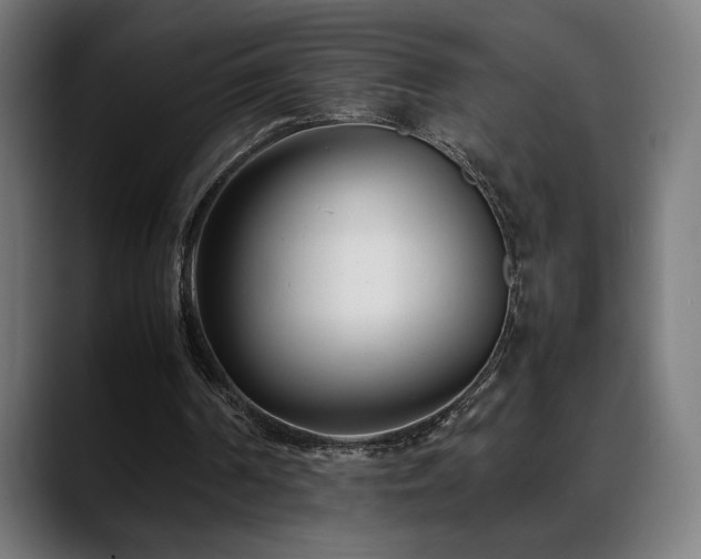 X0000088660194200705251529