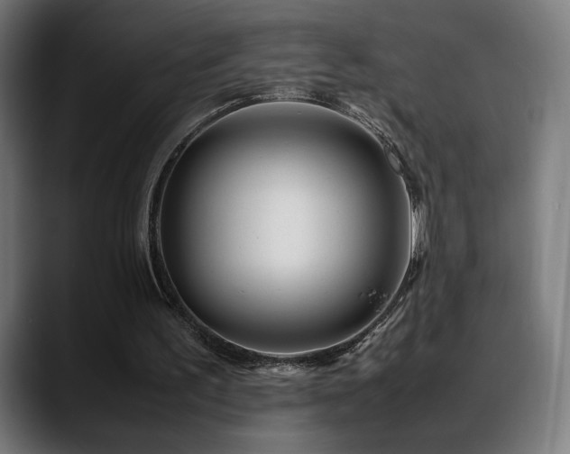 X0000088660195200705251529