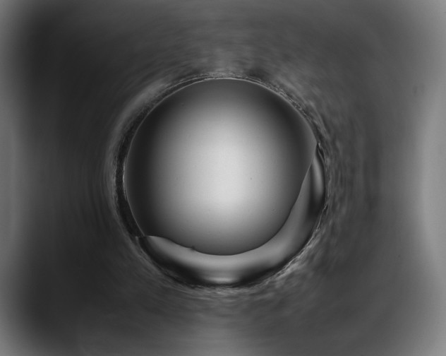 X0000088660197200705251529