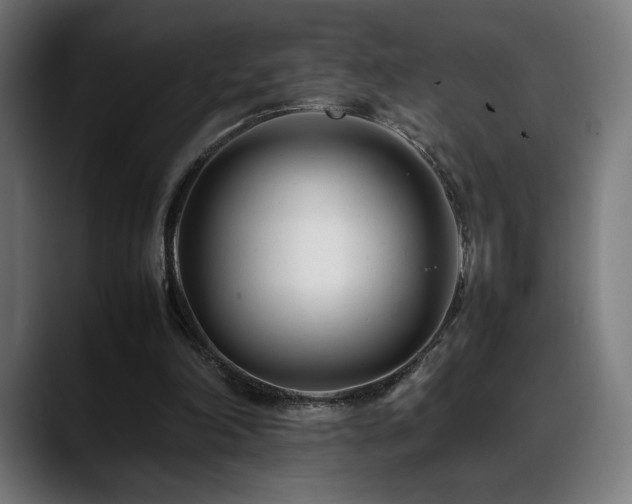 X0000088660198200705251529