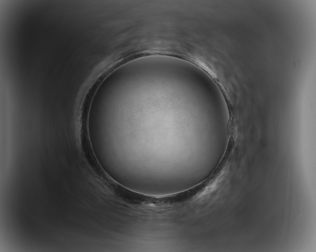 X0000088660199200705251529