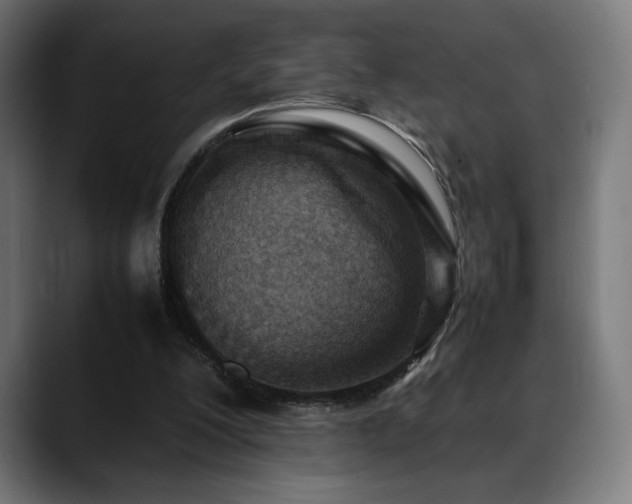 X0000088660200200705251529