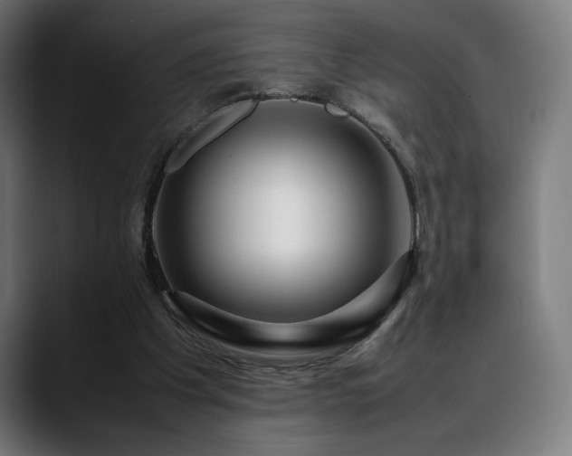 X0000088660201200705251529