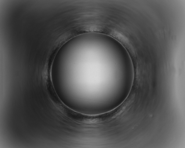 X0000088660202200705251529