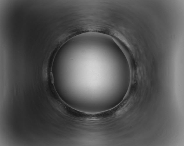 X0000088660203200705251529