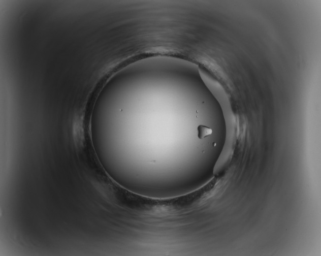 X0000088660204200705251529