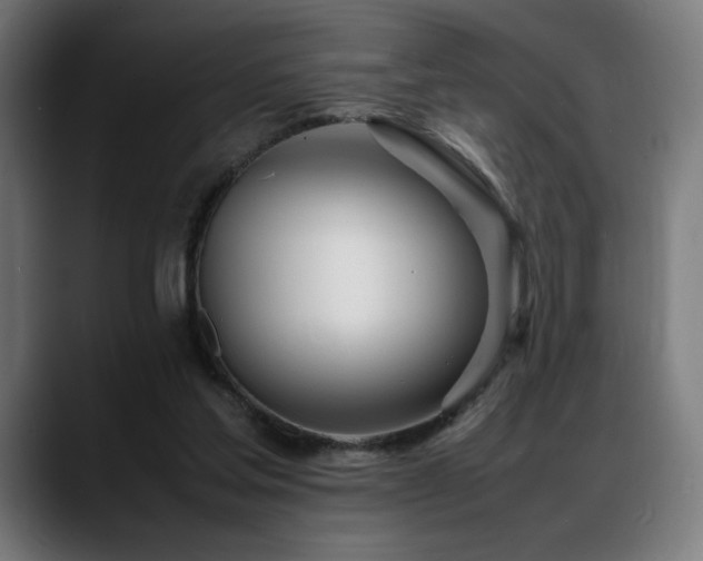 X0000088660205200705251529