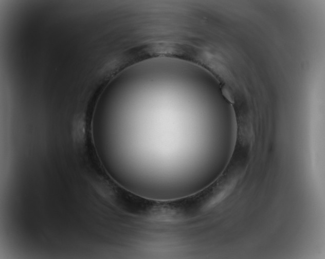 X0000088660207200705251529