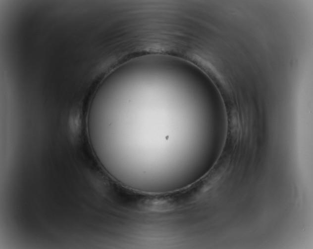 X0000088660208200705251529