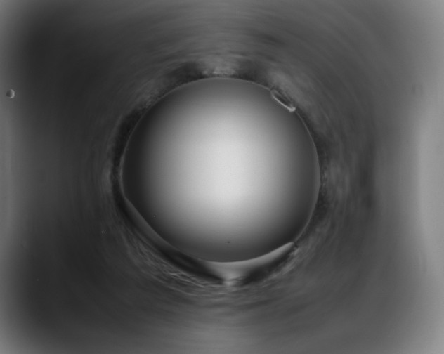 X0000088660209200705251529