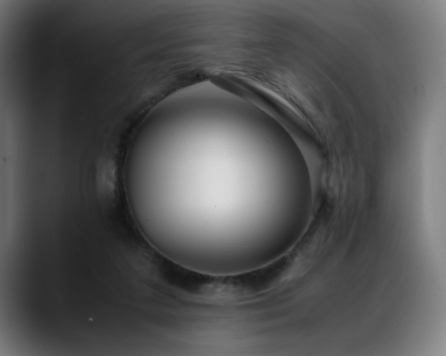 X0000088660211200705251529