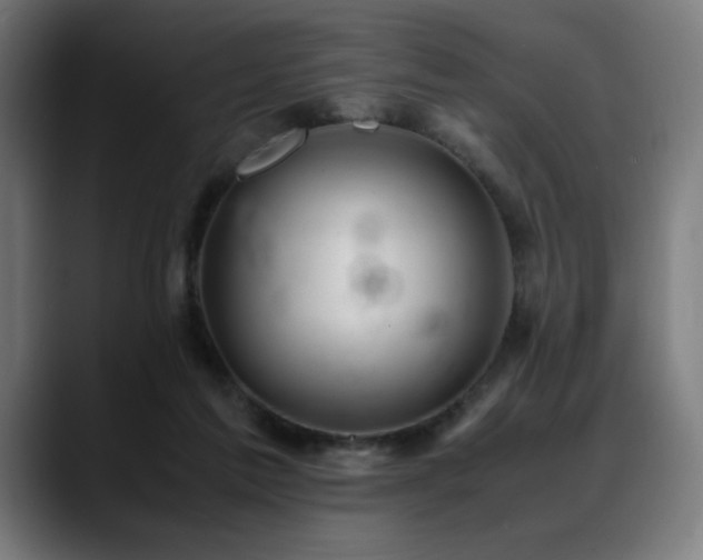 X0000088660213200705251529