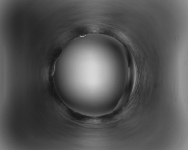 X0000088660217200705251529