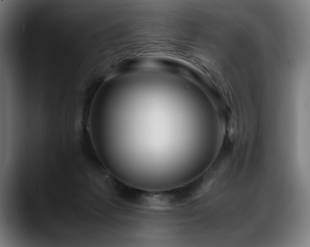 X0000088660221200705251529