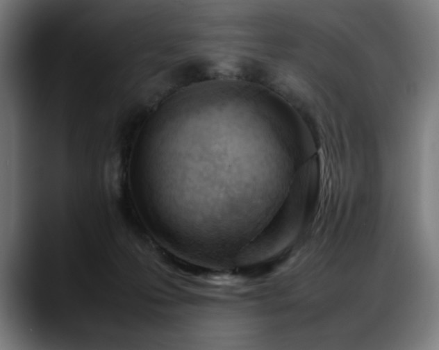 X0000088660223200705251529