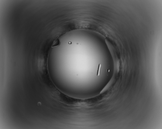 X0000088660224200705251529