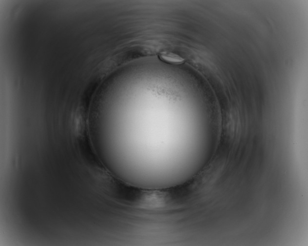 X0000088660226200705251529