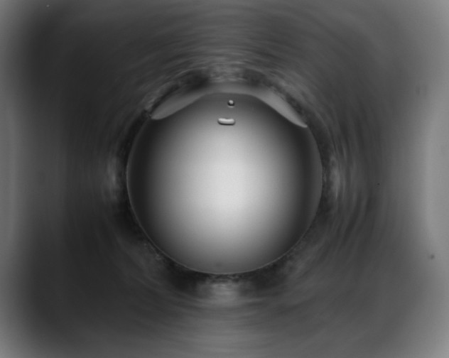 X0000088660228200705251529