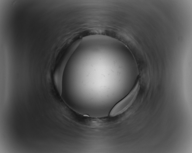 X0000088660229200705251529