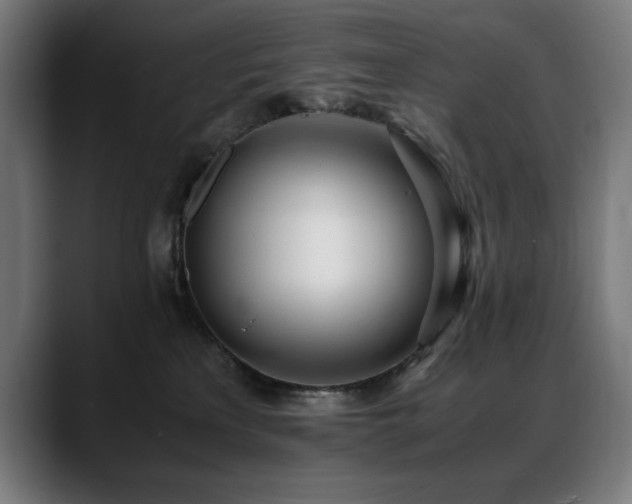 X0000088660233200705251528