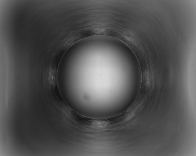 X0000088660234200705251528