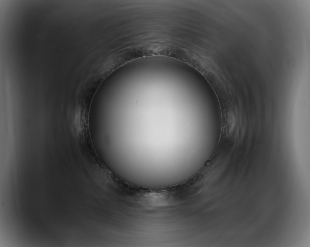 X0000088660236200705251528